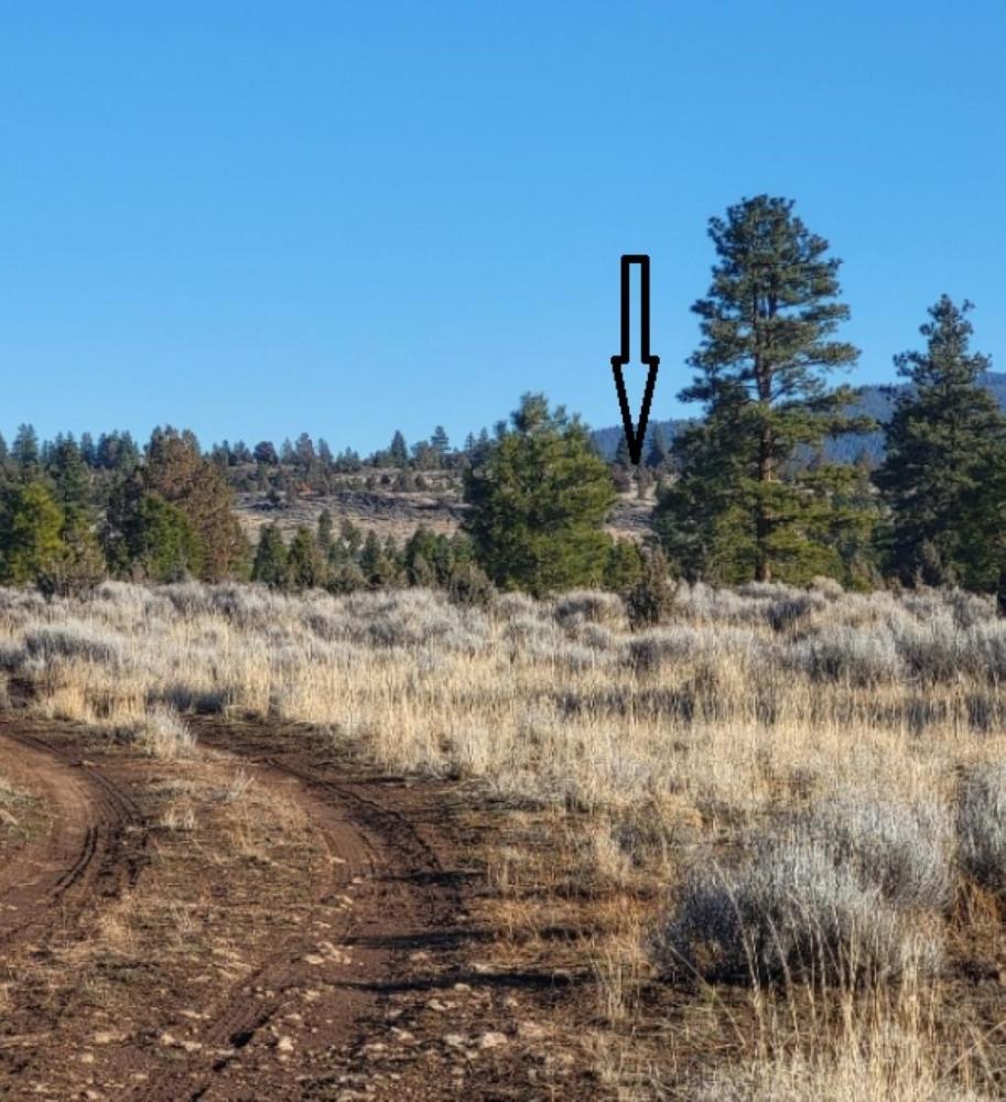 Currently Displayed Property Photo